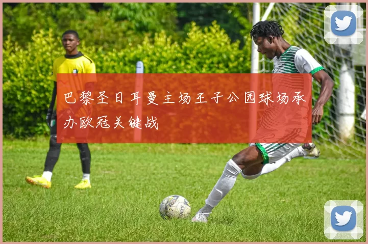 巴黎圣日耳曼主场王子公园球场承办欧冠关键战