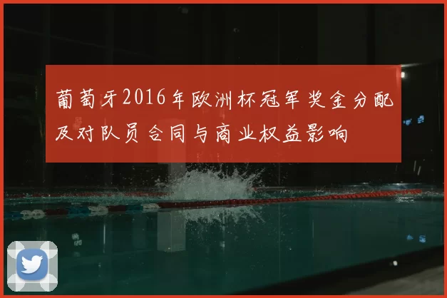 葡萄牙2016年欧洲杯冠军奖金分配及对队员合同与商业权益影响