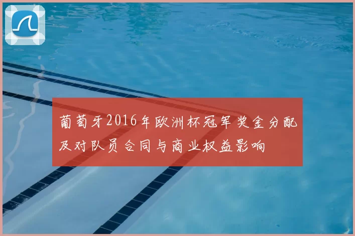 葡萄牙2016年欧洲杯冠军奖金分配及对队员合同与商业权益影响