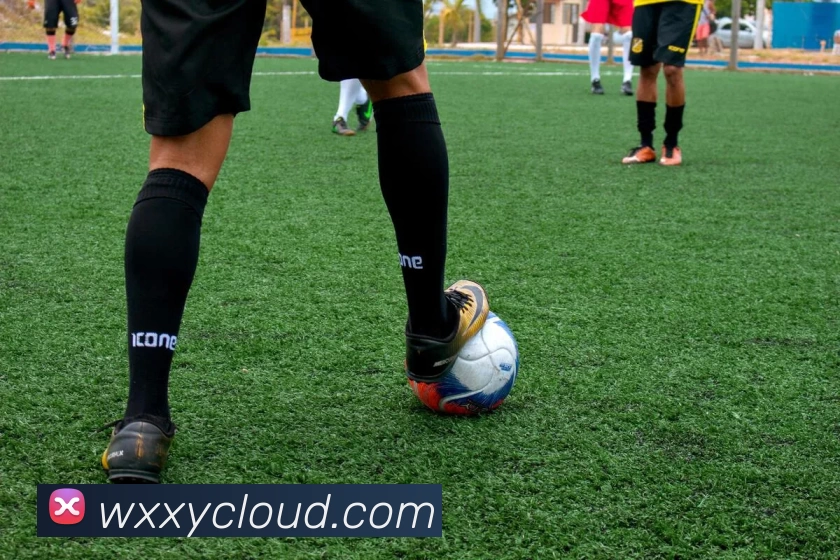 数据防护可视化